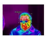 2× Elektronische de Thermische Weergavecamera in real time van Gezoem Ongekoelde Vox FPA voor de Meting van de Lichaamstemperatuur